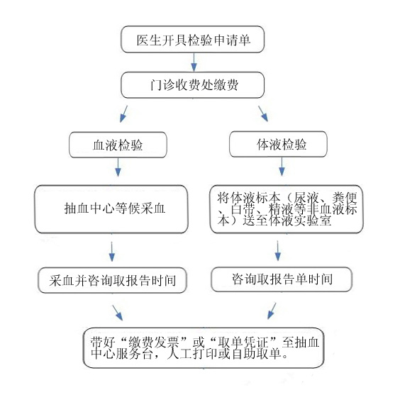 檢驗流程.jpg